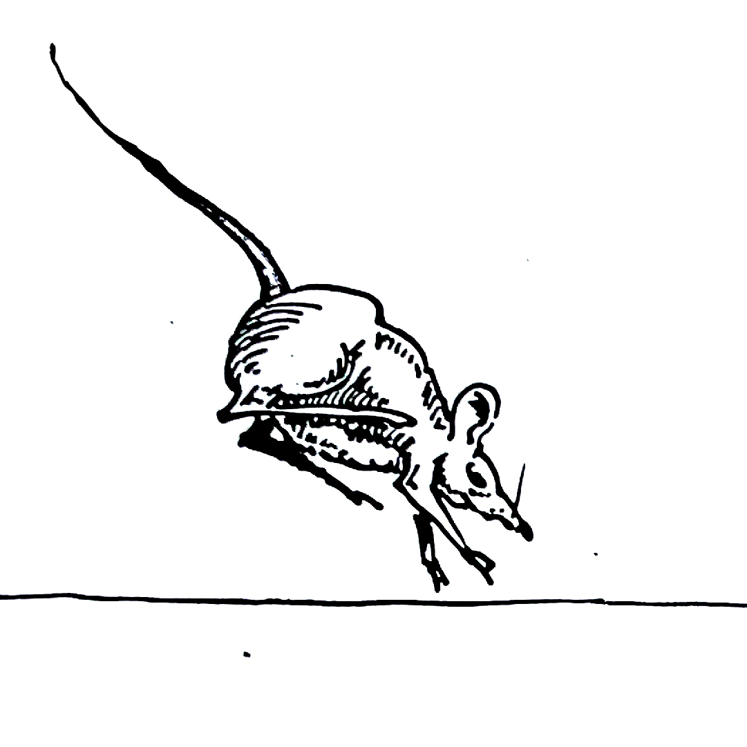Zeichnung einer springenden Maus mit Tuschefeder
